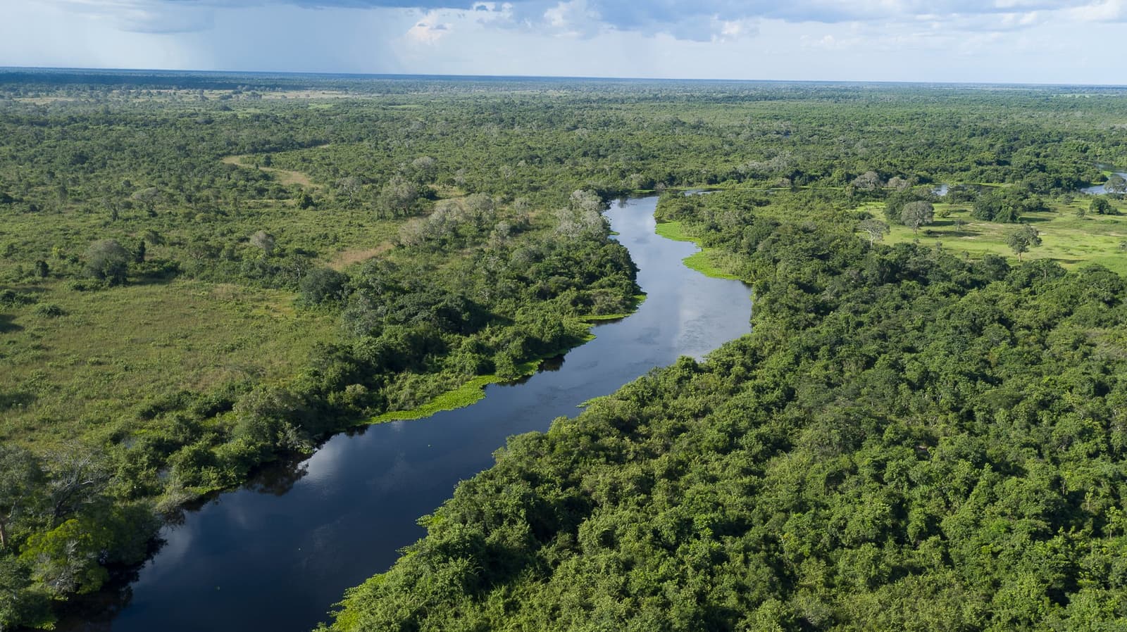 The river doesn't hurry, and neither should you. Aerial view of a dark, slow-moving river winding through dense green tropical forest and open wetland flats on an amazon and pantanal tour, with storm clouds building on the horizon