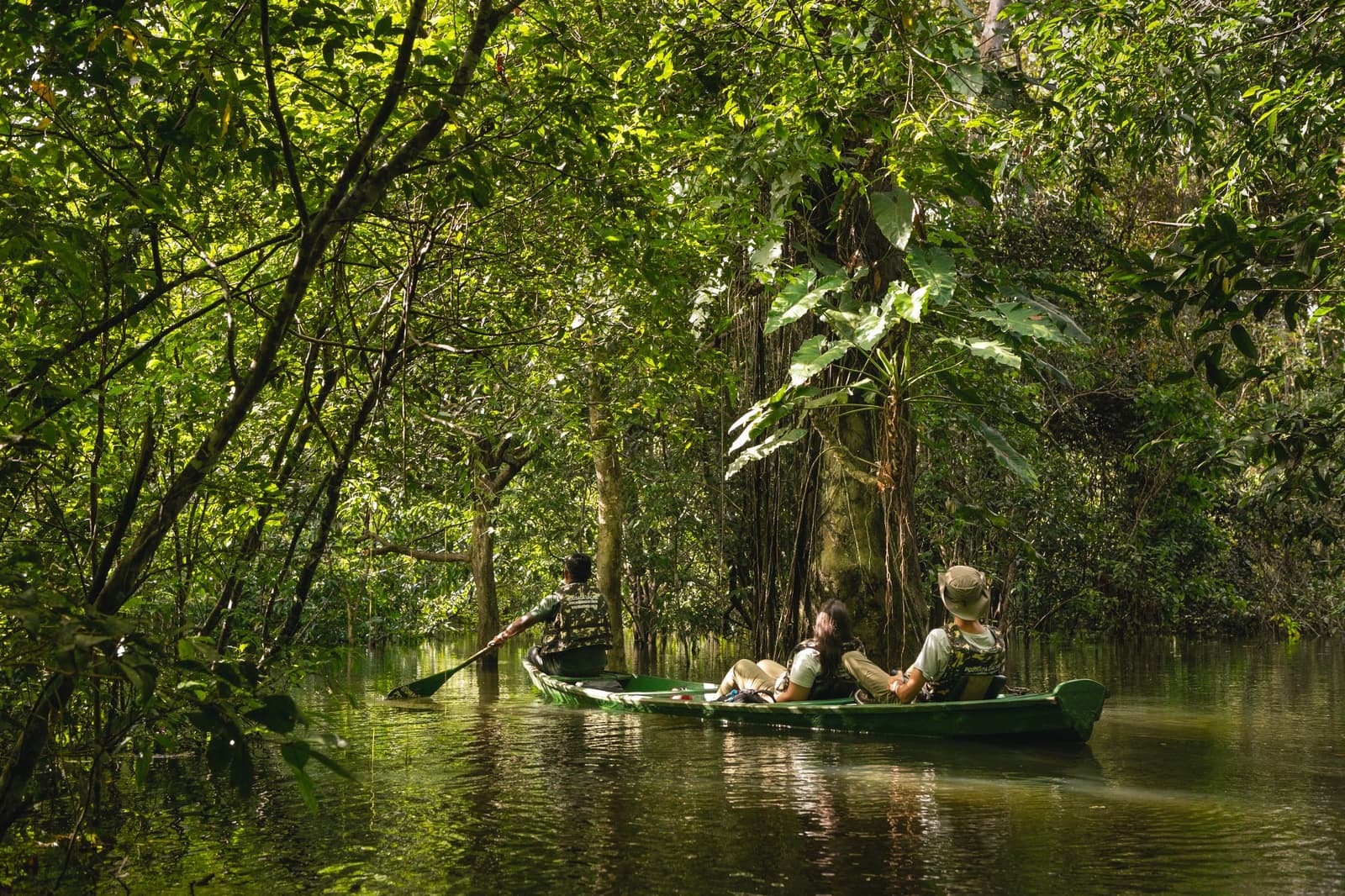 Quiet paddling, the forest half-submerged, and nowhere else you need to be. Photo: Guilherme Gomes A guide paddles two guests through a flooded igapó forest in a green canoe during an amazon rainforest ecolodge trip in brazil, with tall trees and broad-leafed plants rising from calm, mirror-still water