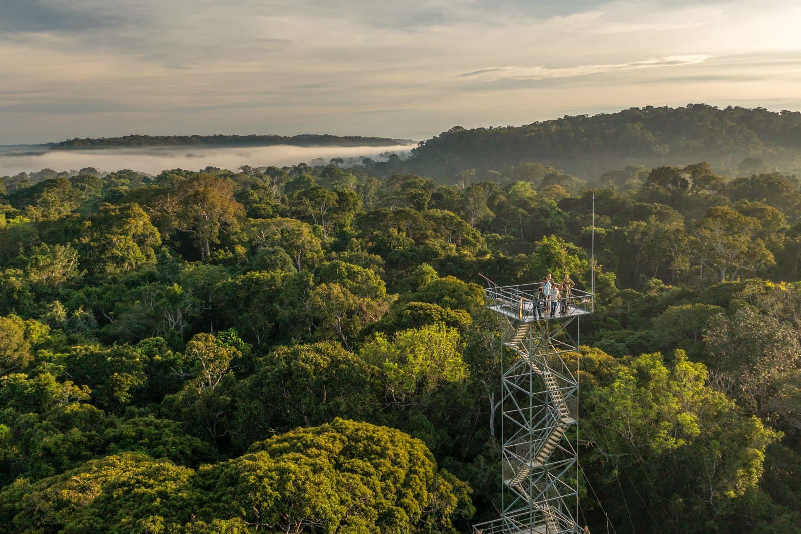 Up here, the forest stops being a backdrop and starts being the whole point. Photo: Andre Dib Small group of travelers standing on a metal canopy observation tower above the Amazon rainforest canopy at dawn, with morning mist rolling over a vast sea of green treetops on a luxury Pantanal and Amazon trip