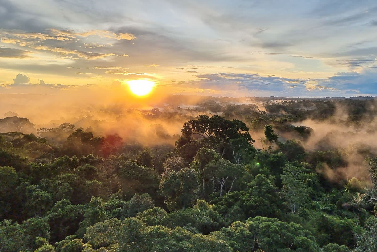 The forest exhales every morning. This is what it looks like. Photo: Rafael Ferraz Aerial view of a dense tropical rainforest canopy at sunrise on a luxury Pantanal and Amazon trip, with golden light breaking through low-lying mist drifting across the treetops under a partly cloudy sky
