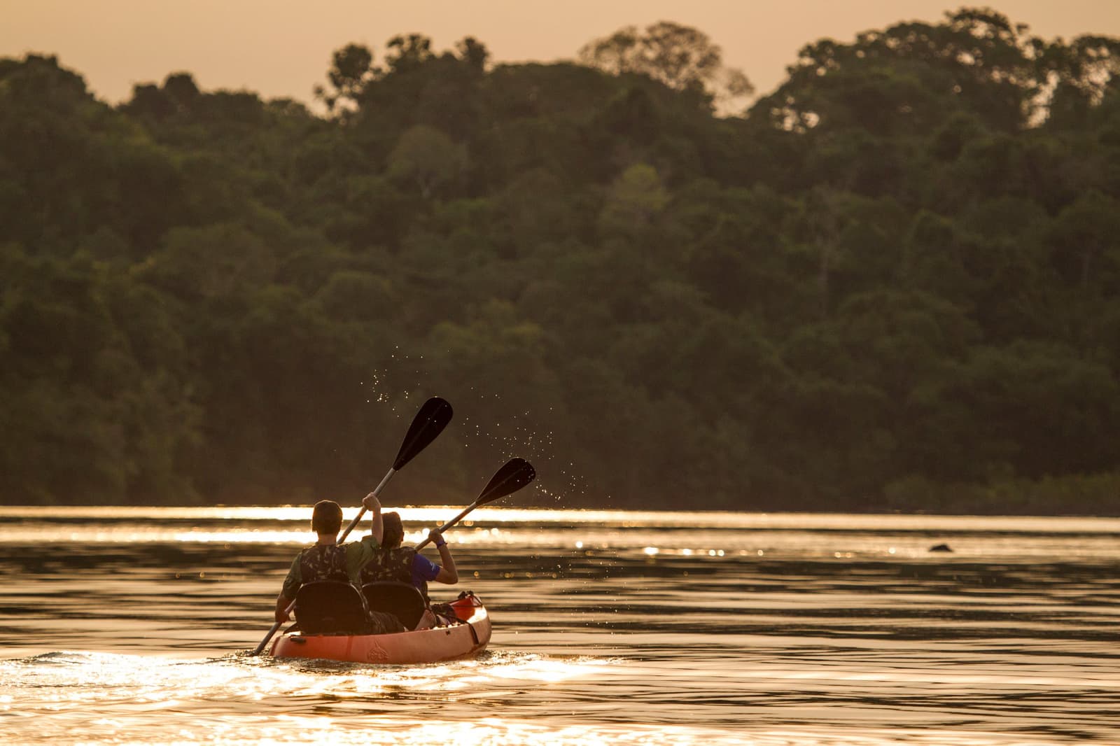 Two paddles, one boat, and a river that has no interest in your schedule. Photo: JOAO MARCOS ROSA / NITRO Two paddlers in a tandem kayak seen from behind on a calm river at golden hour, paddles raised mid-stroke with water droplets catching the light, dense tropical forest lining the far bank on this luxury Pantanal and Amazon trip