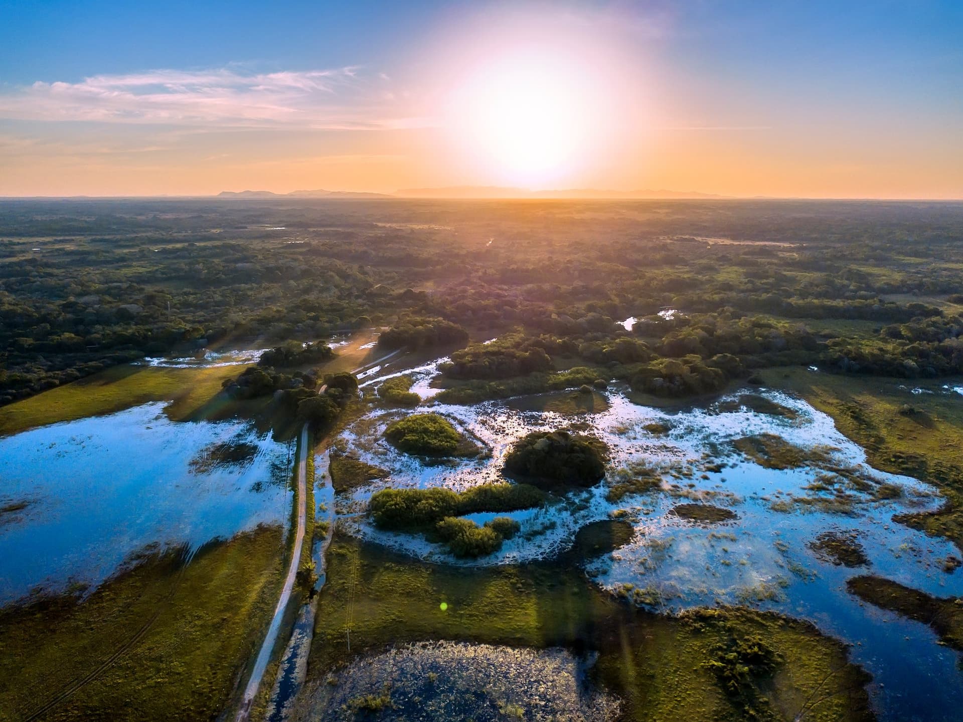 Wild Southern Pantanal Safari: Remote Wetland Adventure Wild Southern Pantanal Safari: Remote Wetland Adventure