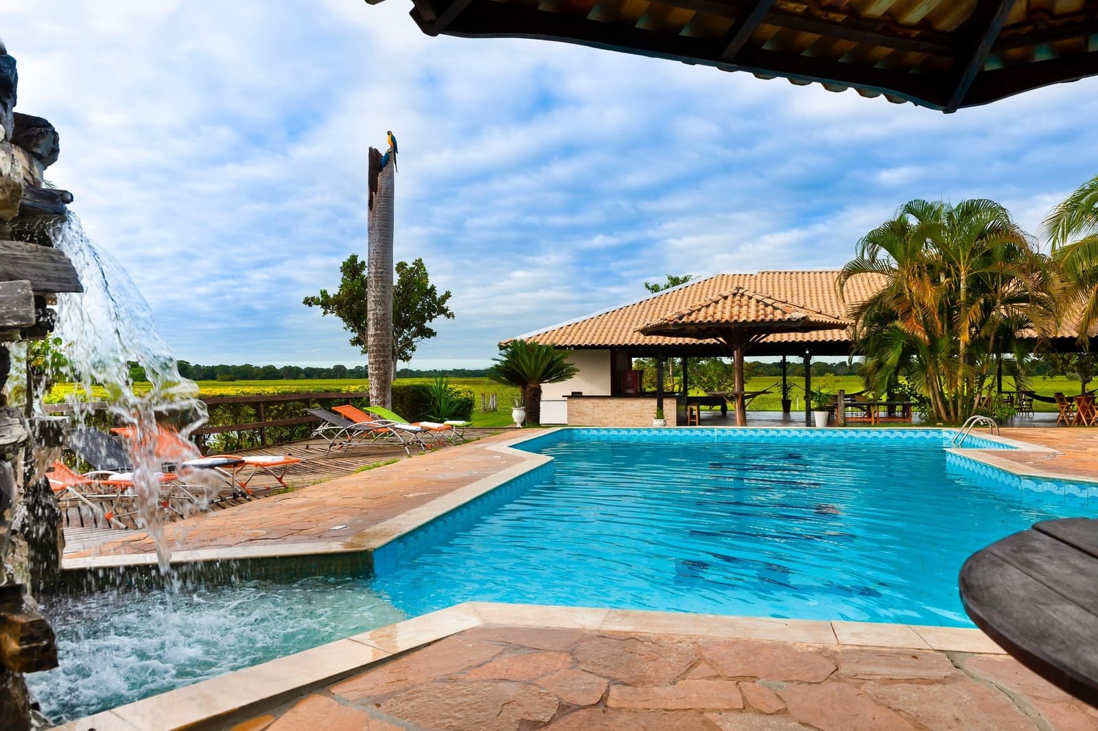 Pool, macaw on a pole, wetlands at the fence. Not a bad way to rest between safaris. Outdoor pool with a waterfall feature at a Pantanal ranch lodge, sun loungers on the deck, a tiled-roof pavilion bar, open wetland views, and a blue-and-yellow macaw perched on a dead palm trunk — a relaxing base for an amazon and pantanal tour