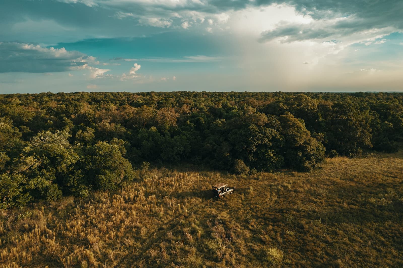 Out here, the vehicle is a dot and the wilderness is everything else. Photo: Felipe Castellari Aerial view of a safari 4x4 vehicle stopped in golden open grassland on a luxury Pantanal and Amazon trip, surrounded by a dense canopy of trees stretching to the horizon under a dramatic cloudy sky