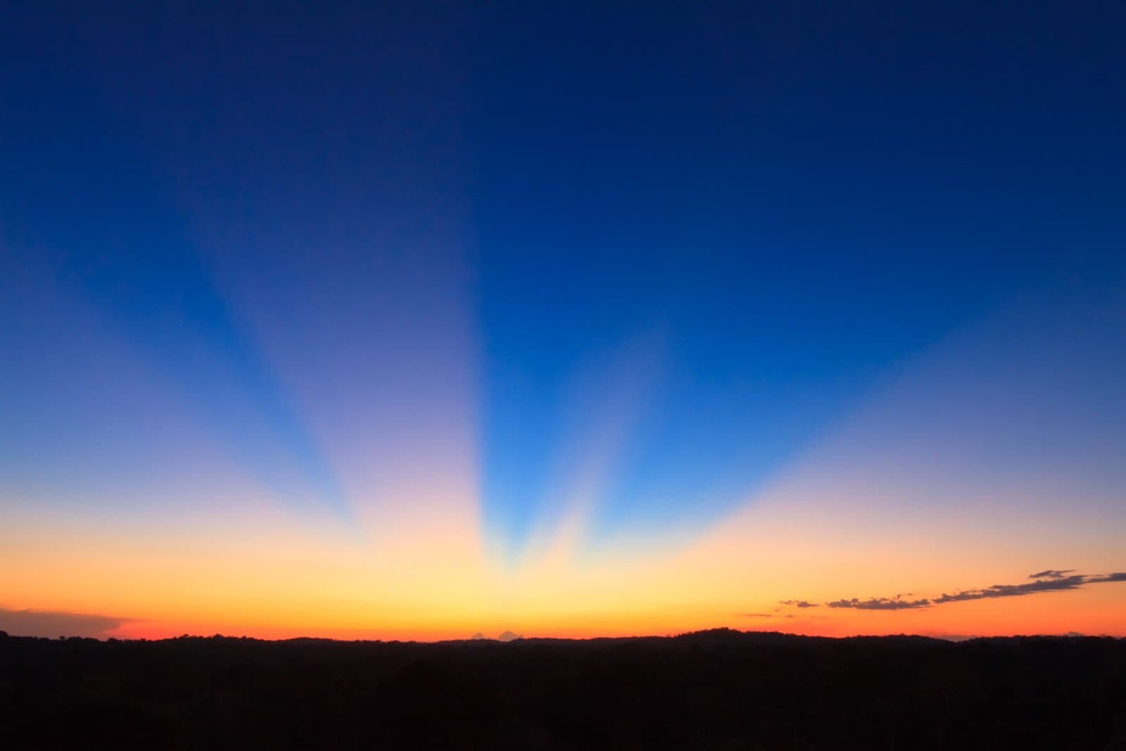 Light doing something the forecast never promised. Worth every early alarm. Photo: Alex Da Riva Crepuscular rays fan out across a deep blue twilight sky above a dark treeline silhouette on this luxury Pantanal and Amazon trip, with a vivid orange and yellow glow along the horizon