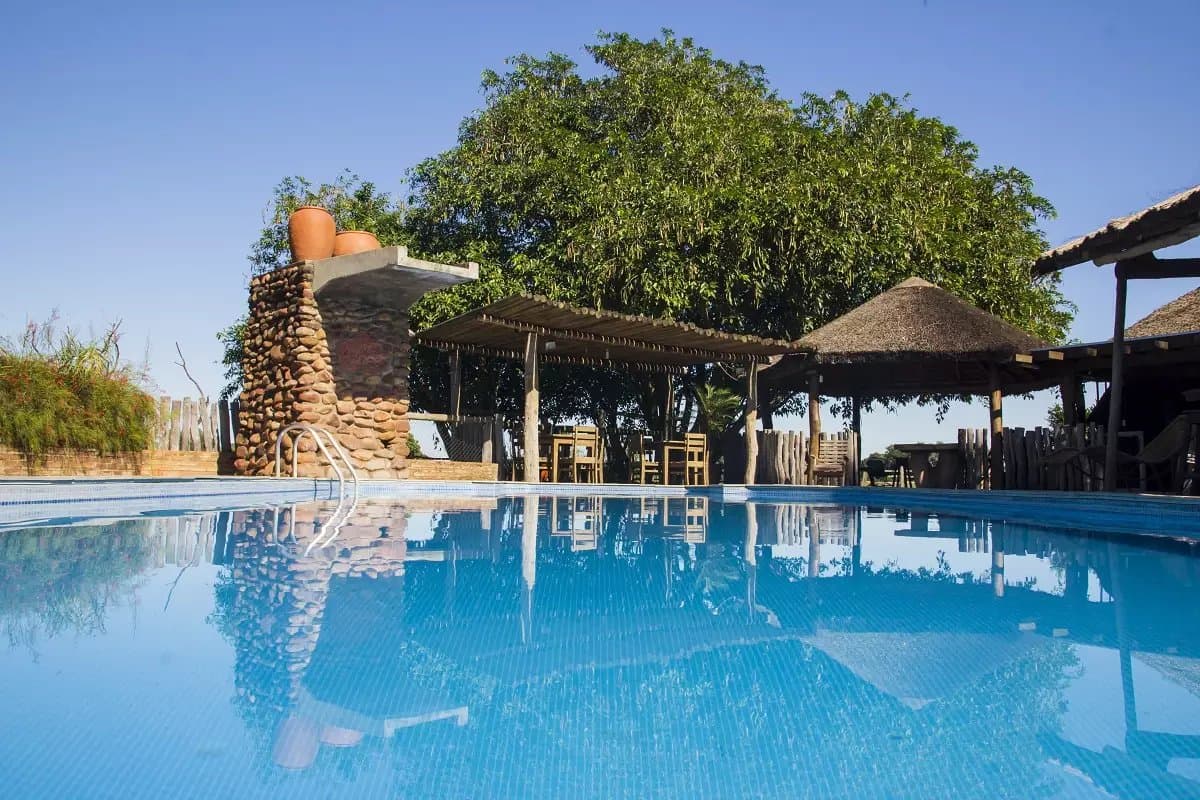 The pool earns its keep after a full day out in the Pantanal heat. Outdoor swimming pool at a Pantanal lodge, with a stone water feature topped by clay pots, a shaded dining pergola, thatch-roofed umbrellas, and a large tree reflected in the still blue water under a clear sky