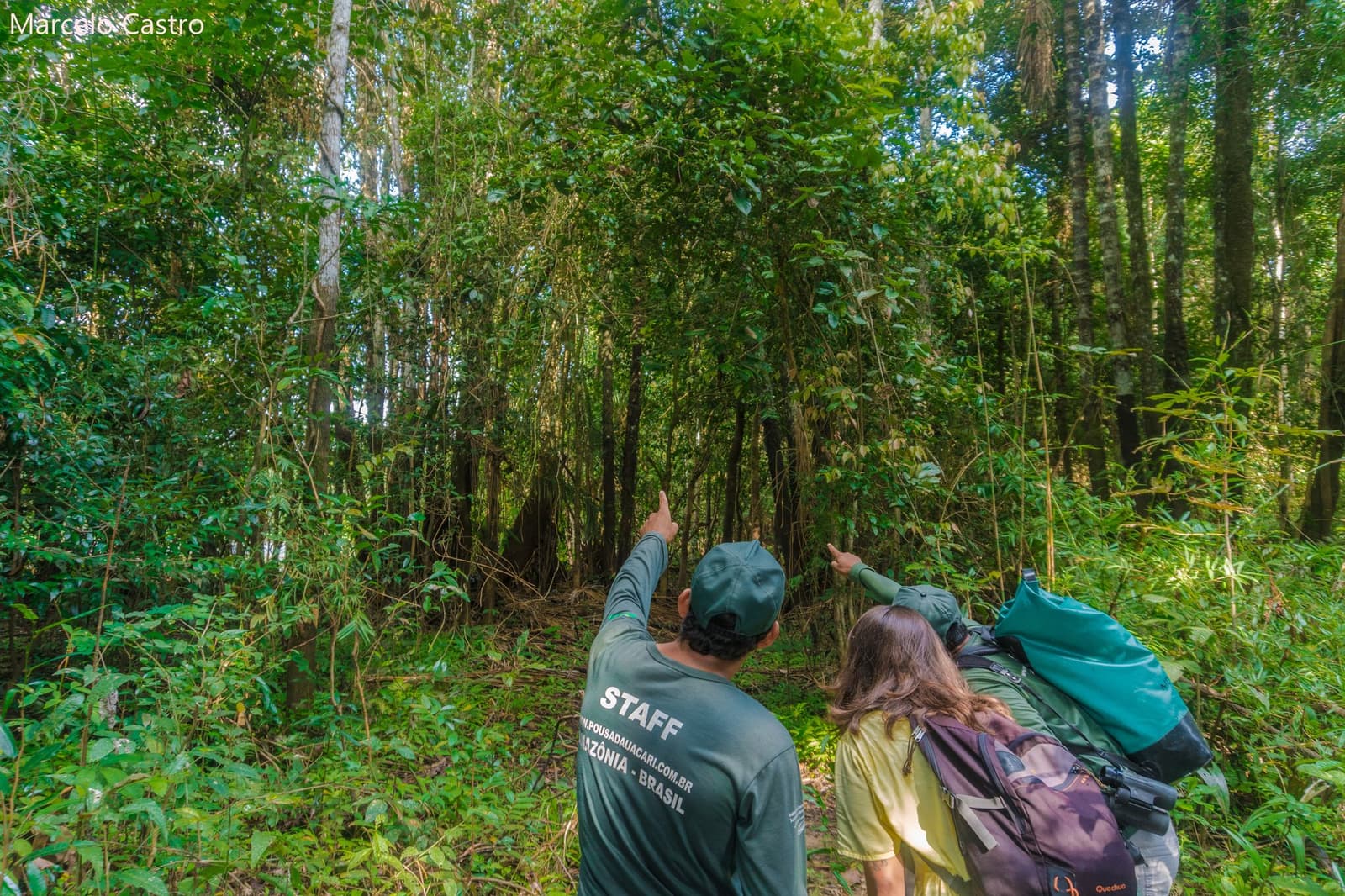 The guide sees the forest in layers you haven't learned to read yet. A Uakari Lodge staff guide and a female visitor with a backpack point upward into the dense Amazon rainforest canopy during an ecolodge trip in Brazil