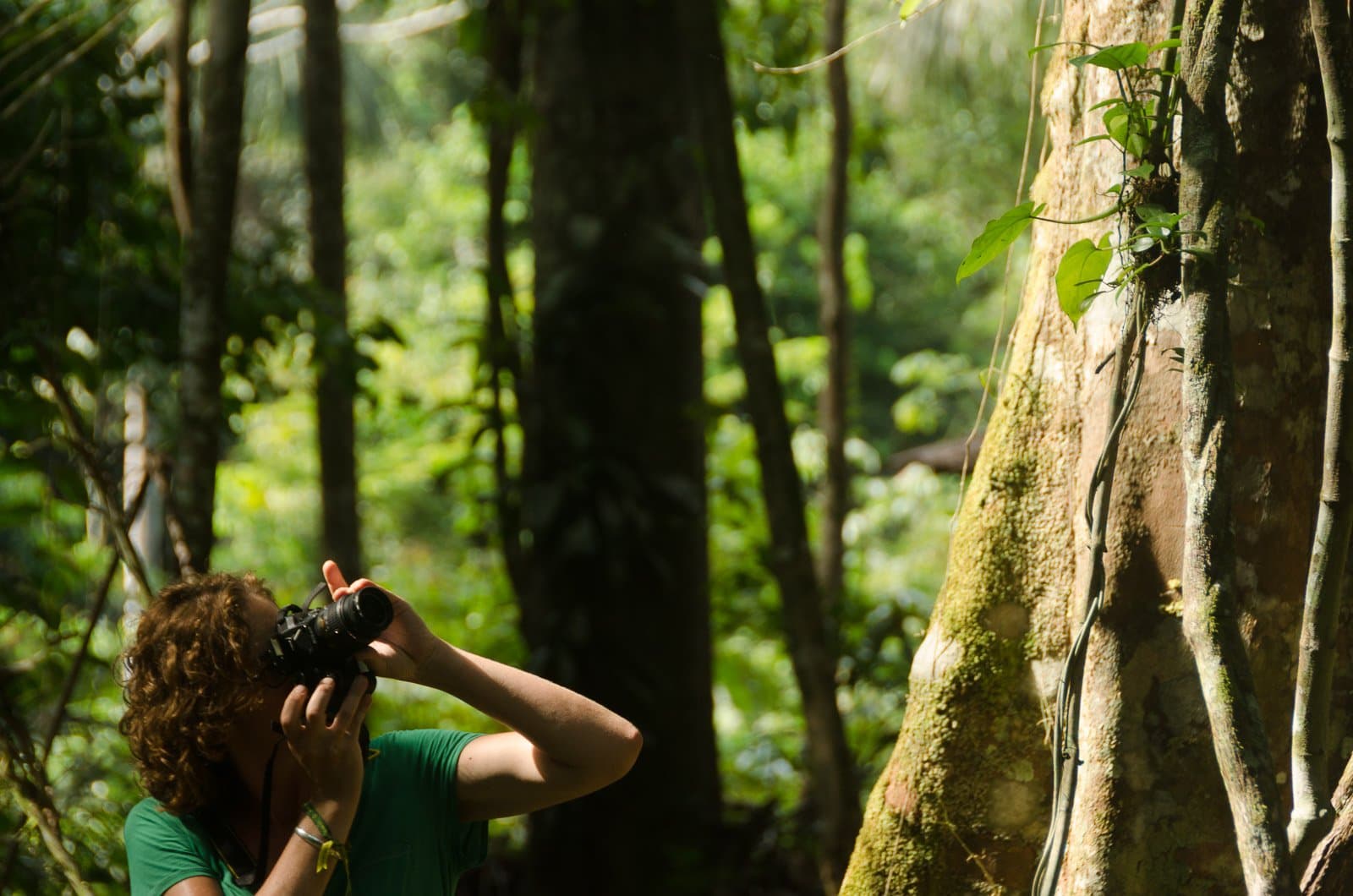Some trees just demand a second look, and a telephoto lens. Photo: Leonide Principe A curly-haired traveller in a green t-shirt raises a camera to photograph the moss-covered buttress roots of a giant rainforest tree during an amazon rainforest ecolodge trip in brazil, with dense green canopy and tall trunks stretching into the background