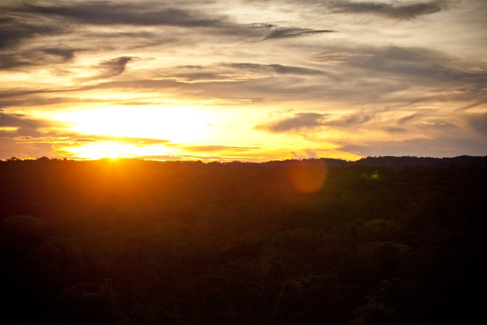 The forest goes on, the sun disagrees, and for a moment neither blinks. Photo: Samuel Melim Golden sunset over a dense tropical forest canopy on a luxury Pantanal and Amazon trip, with dramatic clouds streaked across the wide sky