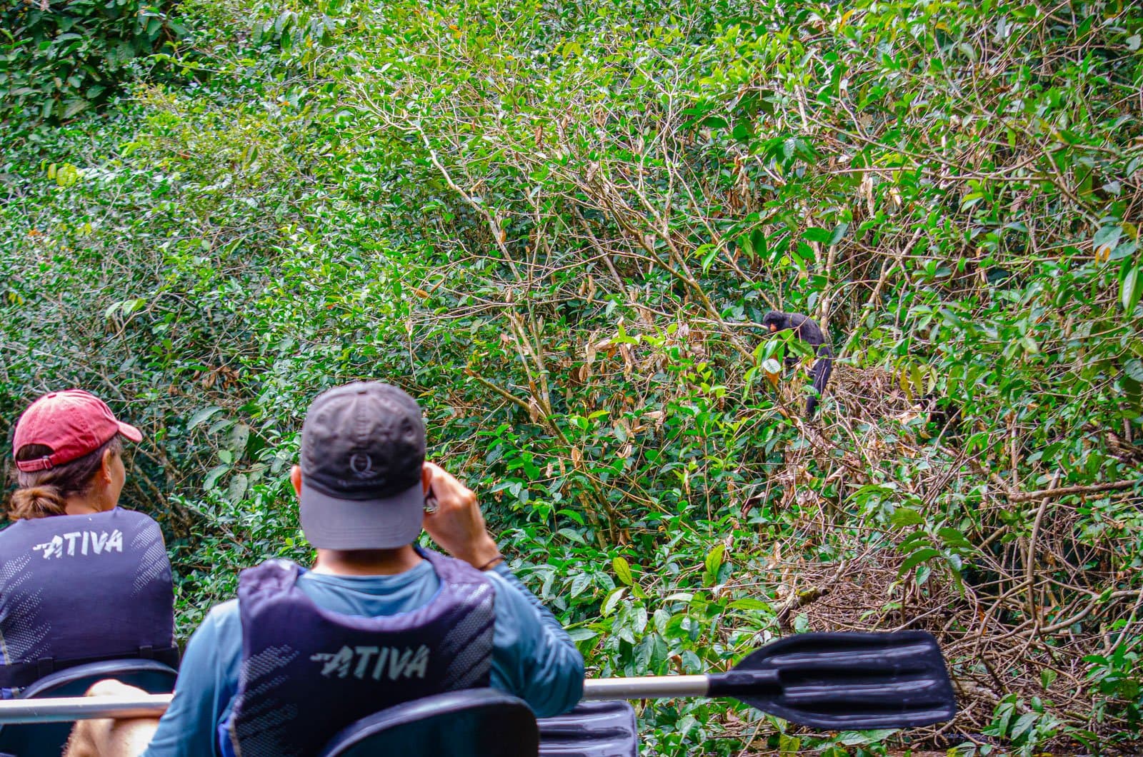 Close enough to hear the branches bend. No zoom required. Photo: Samuel Melim Two guests in life vests aboard a canoe on a luxury Pantanal and Amazon trip watch a dark-furred monkey foraging in dense riverbank vegetation
