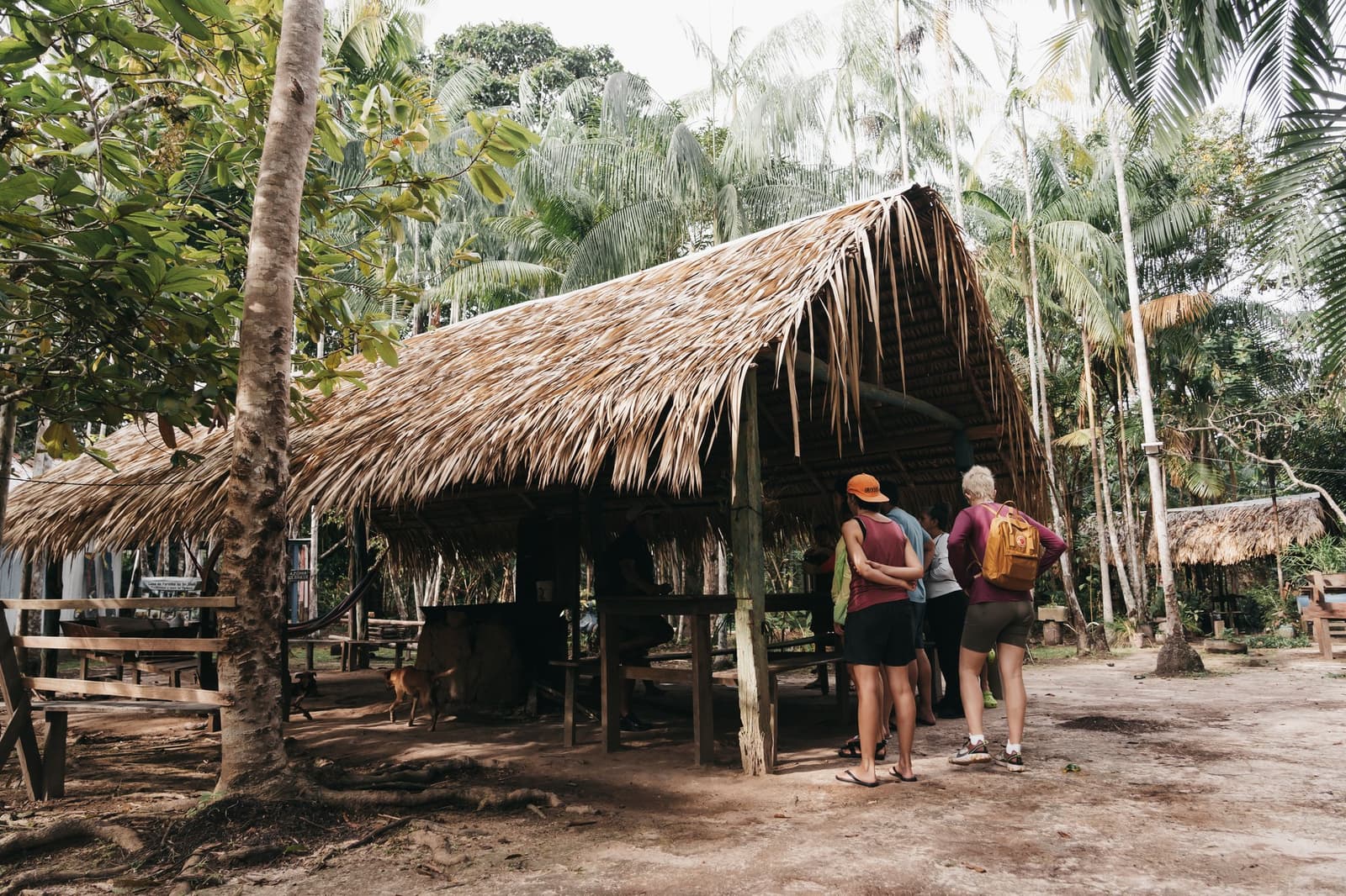 Life in the reserve moves at its own pace, and visitors are welcome to slow down with it. Small group of travelers standing in front of a large thatched-roof open-air community hall surrounded by palm trees and tropical forest, during a luxury amazon cruise in brazil community visit