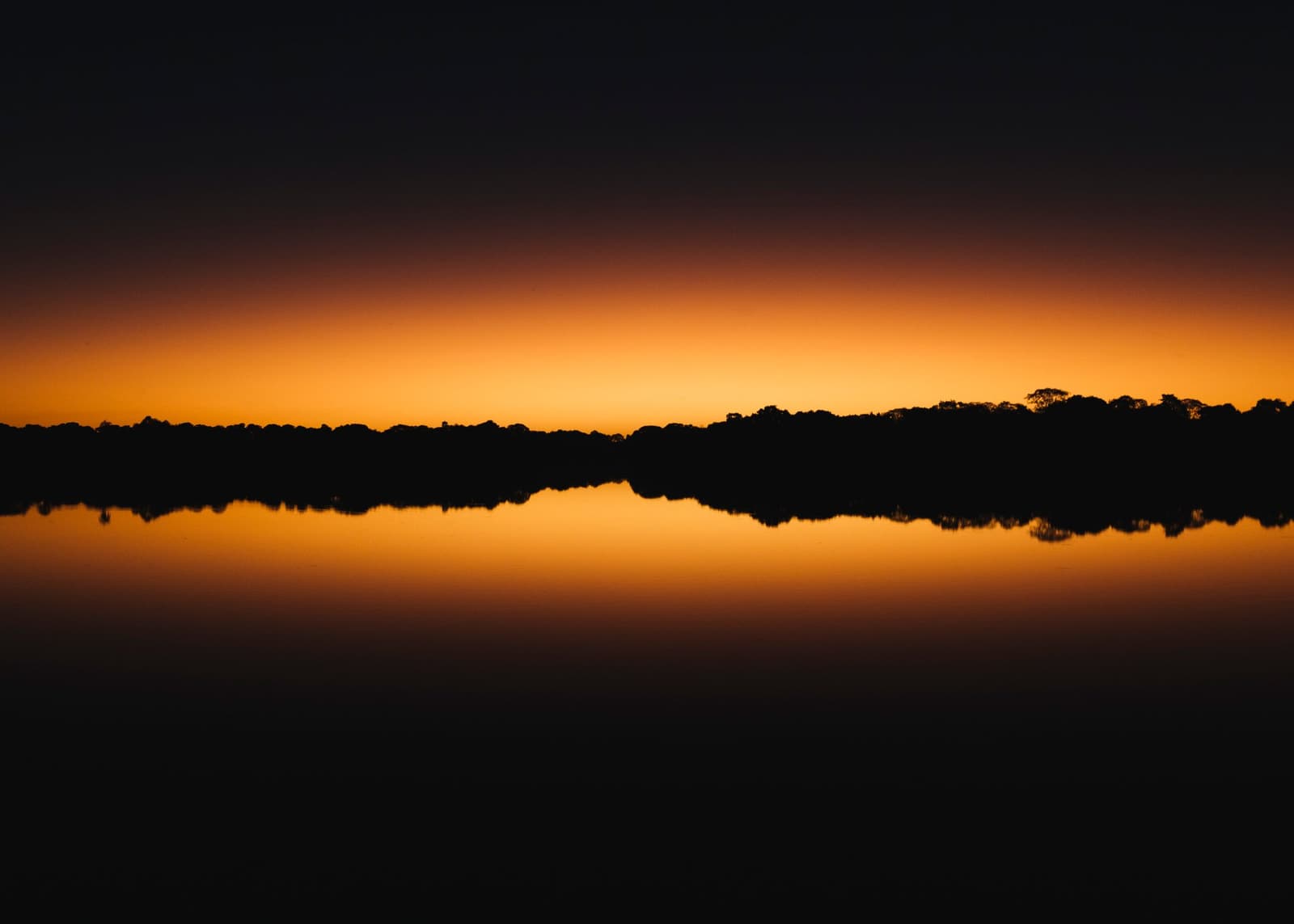 That hour when the water forgets which way is up. Deep amber glow of a sunset on a luxury Pantanal and Amazon trip, with a silhouetted treeline perfectly mirrored on a glassy, still river