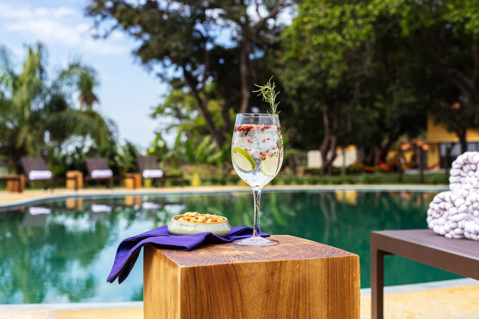 Afternoon wind-down, sorted. The pool can wait a few more minutes. A garnished gin and tonic with lime, rosemary, and dried berries in a crystal wine glass beside a bowl of salted nuts on a wooden side table, with a calm lodge swimming pool and lush tropical trees in the background on a luxury Pantanal and Amazon trip