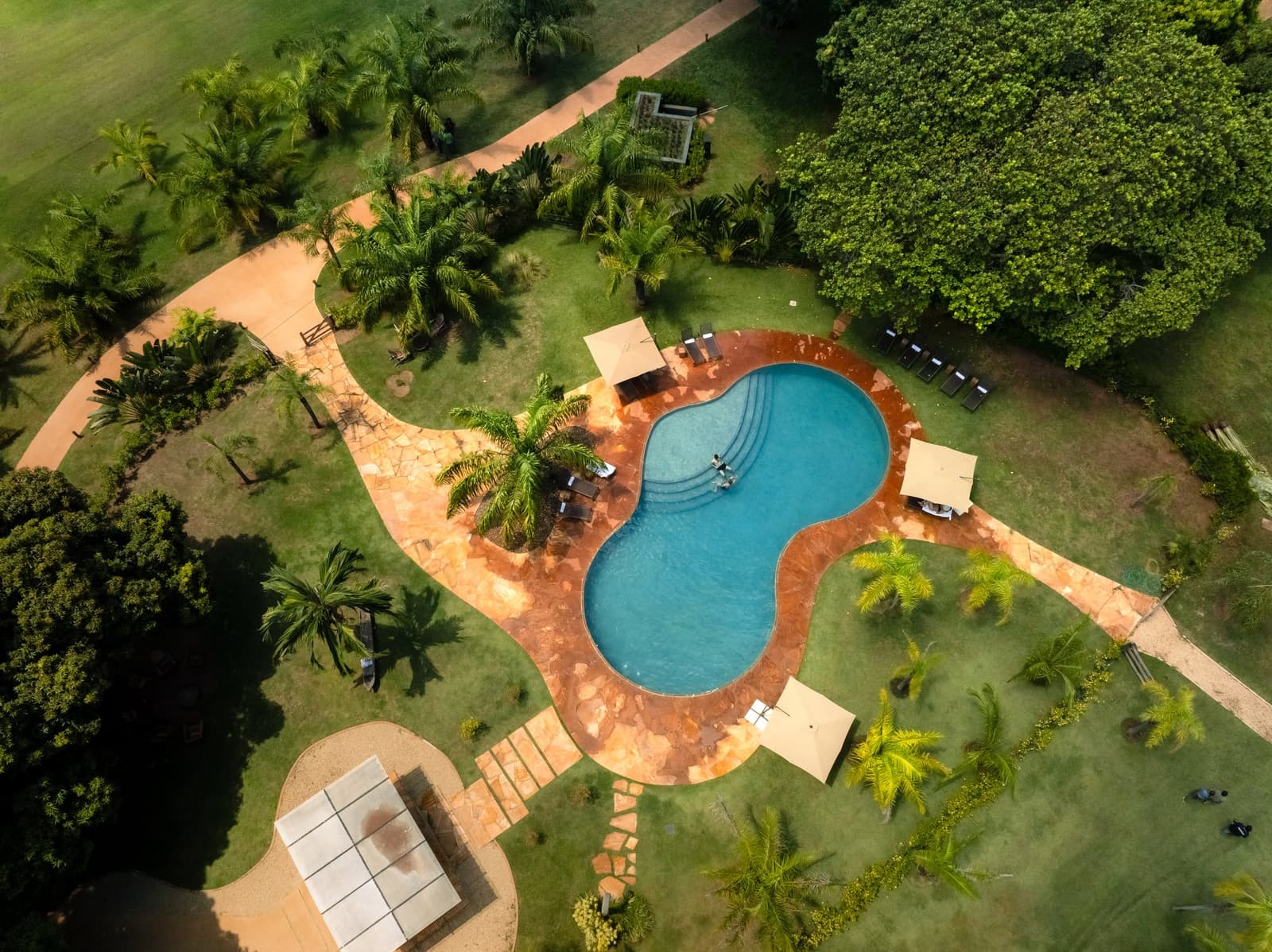 Between safaris, this is exactly where you want to be. Photo: Matias Ternes Aerial view of a freeform turquoise swimming pool surrounded by terracotta stone decking, lounge chairs, shade umbrellas, and lush tropical garden at a luxury Pantanal and Amazon trip lodge