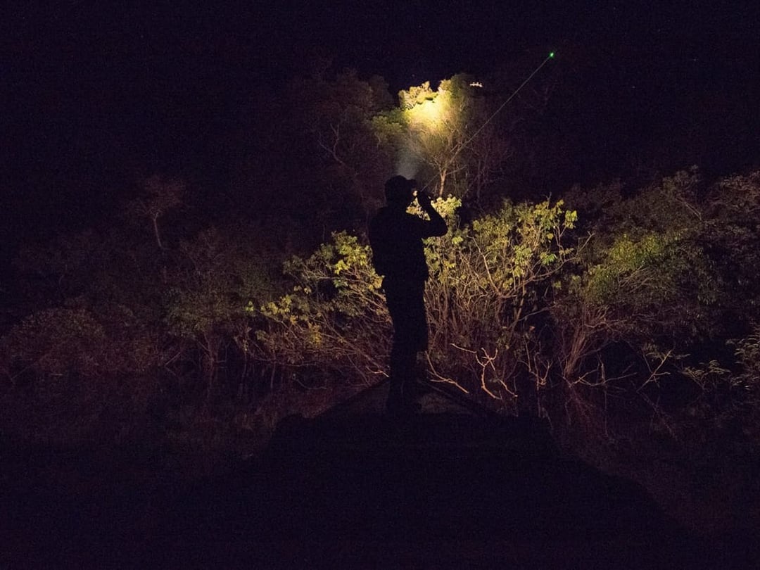 Guide sweeping a flashlight over the forest during a night spotting excursion in the Amazon Guide sweeping a flashlight over the forest during a night spotting excursion in the Amazon