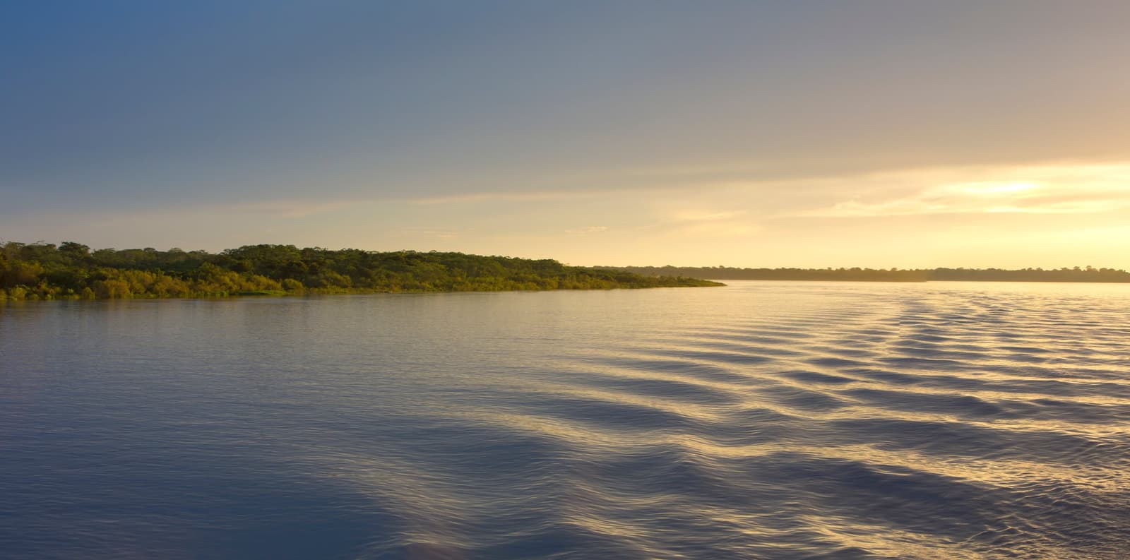 The river at this hour asks nothing of you. Just look. Photo: piccaya Wide calm waters of the Rio Negro at golden hour on the la jangada amazon cruise, with a low forested bank stretching to the horizon under a warm glowing sky