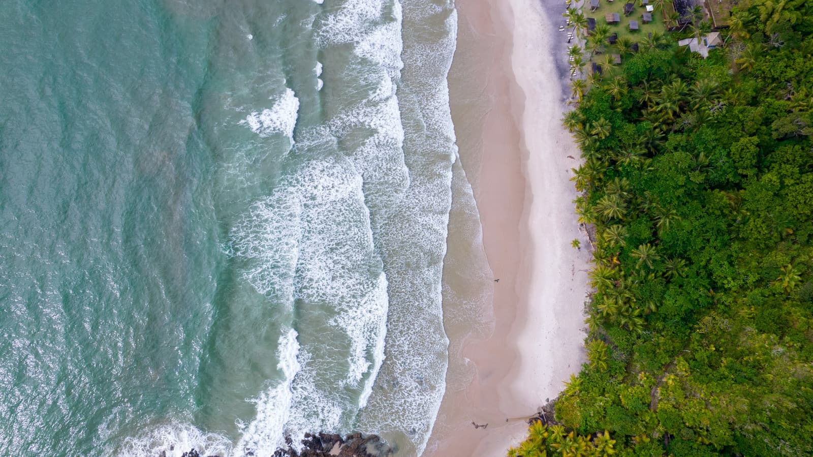 Ocean on one side, jungle on the other. Itacaré keeps both. Photo: Pedro Truffi Aerial view of a sandy beach lined with dense tropical forest and palm trees, with turquoise waves rolling onto the shore at an itacaré surf school destination