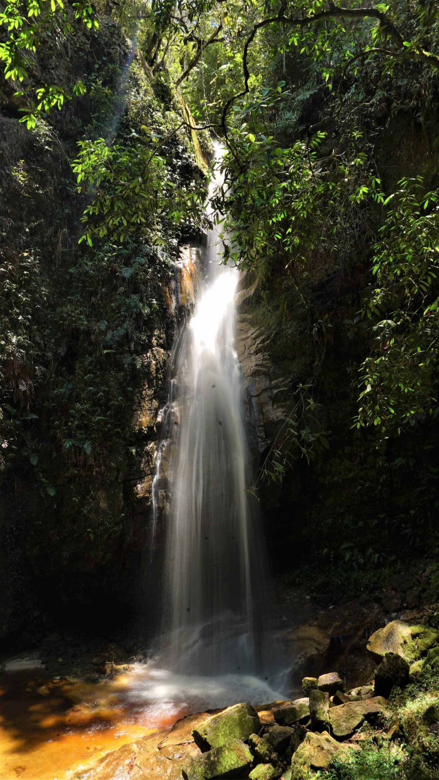 Cool, dark, and loud enough to forget everything else. A tall, silky waterfall drops through a narrow rock canyon surrounded by dense Atlantic Forest brazil vegetation, pooling in tannin-tinted water over mossy boulders at the base of the Ibiti Project reserve