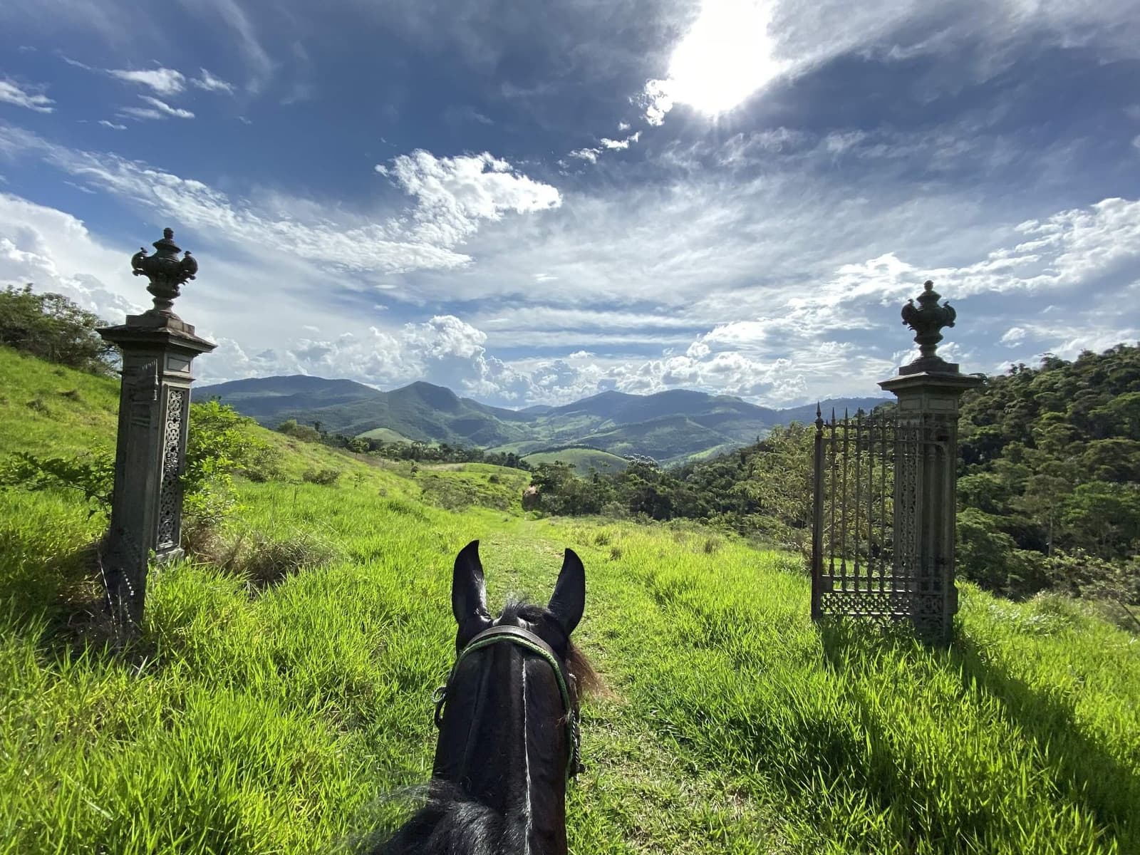 Best seat in the house, and the horse picked it. View from horseback through ornate iron gate pillars over lush green hills and distant mountains at the Ibiti Project in Minas Gerais